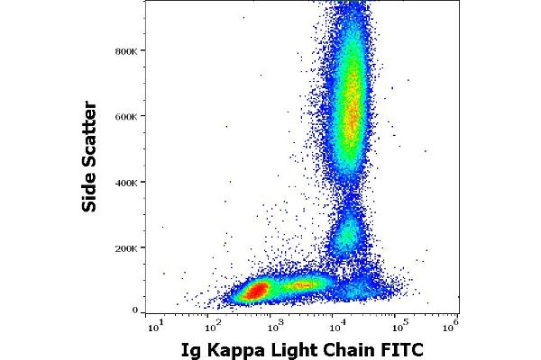 kappa Light Chain antibody  (FITC)