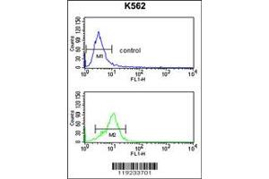 Flow Cytometry (FACS) image for anti-Corticotropin Releasing Hormone Receptor 2 (CRHR2) antibody (ABIN2158369)