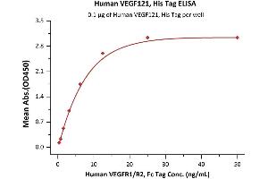 Immobilized Human VEGFR1/R2, Fc Tag at 1 μg/mL (100 μL/well) can bind Human VEGF121, His Tag (ABIN2870704,ABIN2870705) with a linear range of 3-50 ng/mL (QC tested).