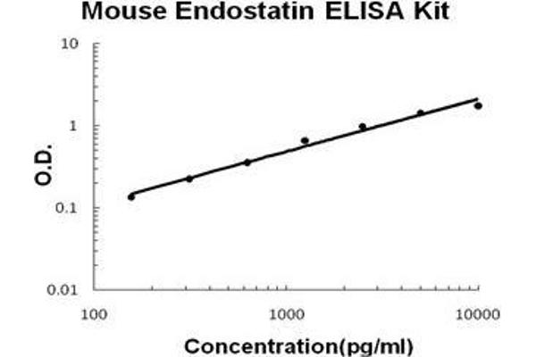 Endostatin (ES) ELISA Kit