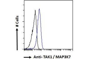 Image no. 1 for anti-Mitogen-Activated Protein Kinase Kinase Kinase 7 (MAP3K7) (Internal Region) antibody (ABIN185640)