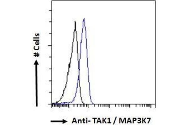 anti-Mitogen-Activated Protein Kinase Kinase Kinase 7 (MAP3K7) (Internal Region) antibody