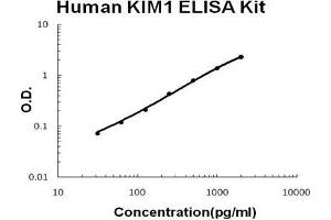 Image no. 1 for Hepatitis A Virus Cellular Receptor 1 (HAVCR1) ELISA Kit (ABIN921117)