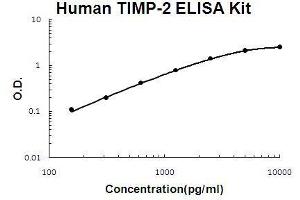 Human TIMP-2 PicoKine ELISA Kit standard curve