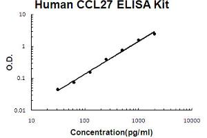 Image no. 1 for Chemokine (C-C Motif) Ligand 27 (CCL27) ELISA Kit (ABIN6720153)