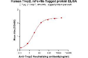 Image no. 1 for Tumor-Associated Calcium Signal Transducer 2 (TACSTD2) protein (mFc-His Tag) (ABIN6961178)