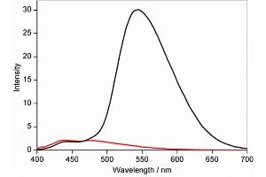 Immunofluorescence (IF) image for NpFR1 (ABIN5021889)