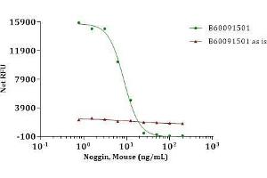 NOG Protein (Noggin) (AA 20-232)