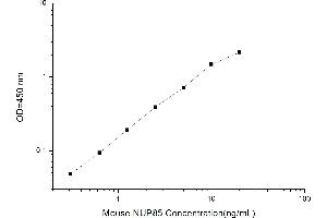 Image no. 1 for Nucleoporin 85kDa (NUP85) ELISA Kit (ABIN1116272)