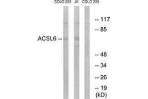 Image no. 1 for anti-Acyl-CoA Synthetase Long-Chain Family Member 6 (ACSL6) (AA 499-548) antibody (ABIN1535006)