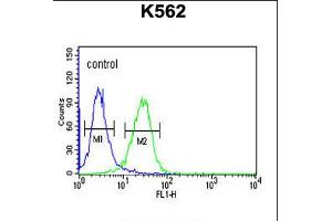 Image no. 2 for anti-Claudin 15 (CLDN15) (AA 128-157) antibody (ABIN5530920)