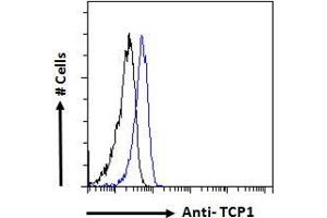 Image no. 1 for anti-T-Complex 1 (TCP1) (C-Term) antibody (ABIN185185)