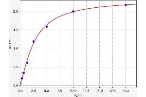 NOX1 ELISA Kit