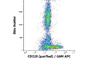 Flow cytometry surface staining pattern of human peripheral blood stained using anti-human CD229 (HLy9.