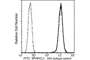 Image no. 1 for anti-SPARC-Like 1 (Hevin) (SPARCL1) (AA 1-664) antibody (FITC) (ABIN1995527)