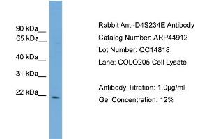 Image no. 2 for anti-Neuron-Specific Protein Family Member 1 (D4S234E) (N-Term) antibody (ABIN2782065)