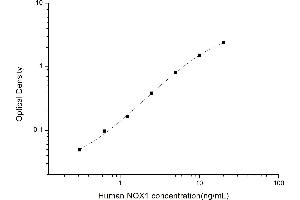Image no. 1 for NADPH Oxidase 1 (NOX1) ELISA Kit (ABIN6962532)