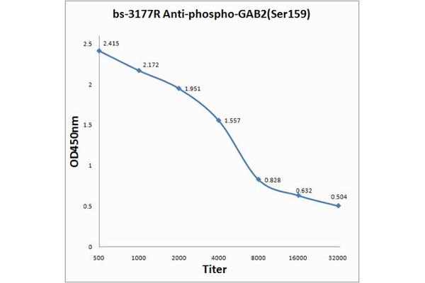 GAB2 antibody  (pSer159)
