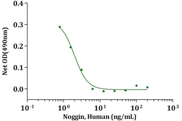 NOG Protein (Noggin) (AA 28-232)