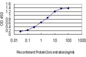 Image no. 2 for anti-Early B-Cell Factor 3 (EBF3) (AA 381-480) antibody (ABIN566977)