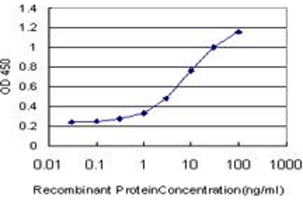 anti-Fibronectin Type III Domain Containing 3A (FNDC3A) (AA 1012-1110) antibody