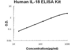 Image no. 1 for Interleukin 18 (IL18) ELISA Kit (ABIN411405)