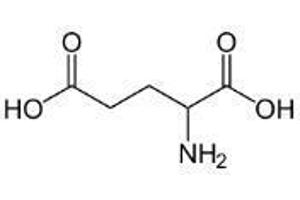 Image no. 1 for Glutamic Acid peptide (Ovalbumin) (ABIN5666204)