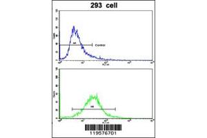 Flow Cytometry (FACS) image for anti-Collagen, Type VI, alpha 1 (COL6A1) antibody (ABIN2158321)
