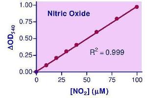 Biochemical Assay (BCA) image for Nitric Oxide Assay Kit (ABIN1000244)