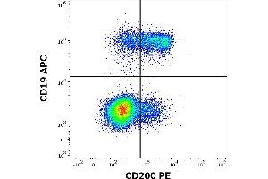 Image no. 2 for anti-CD200 (CD200) antibody (PE) (ABIN1690744)
