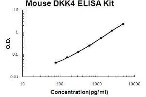 Image no. 1 for Dickkopf Homolog 4 (Xenopus Laevis) (DKK4) ELISA Kit (ABIN5510735)