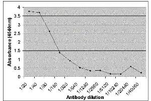 Image no. 1 for anti-Lactalbumin, alpha- (LALBA) antibody (ABIN2477393)