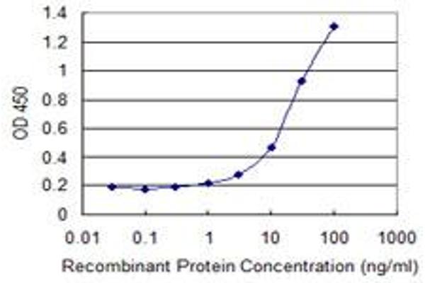 anti-G Protein gamma 5 (GNG5) (AA 1-68) antibody