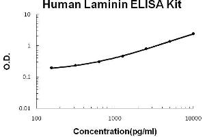 Human Laminin PicoKine ELISA Kit standard curve
