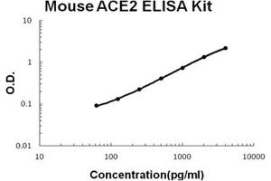 Angiotensin I Converting Enzyme 2 (ACE2) ELISA Kit