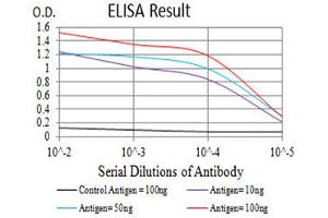 Image no. 4 for anti-Elastase, Neutrophil Expressed (ELANE) (AA 140-267) antibody (ABIN5611333)