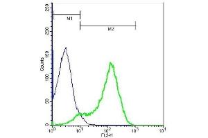 IL1RL1 antibody  (AA 11-110)
