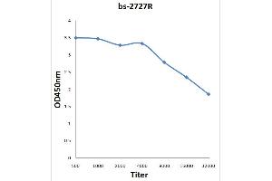 CRLF2 antibody  (AA 81-180)