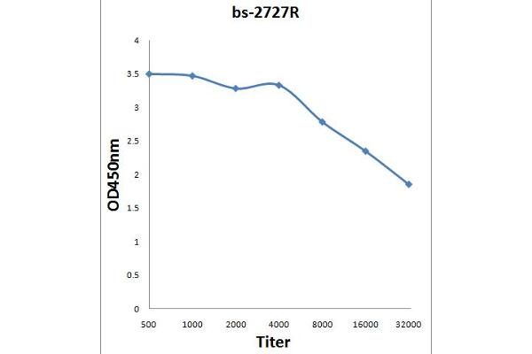 CRLF2 antibody  (AA 81-180)