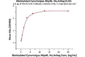 Natural Cytotoxicity Triggering Receptor 1 (NCR1) (AA 22-257) (Active) protein (His tag,AVI tag,Biotin)