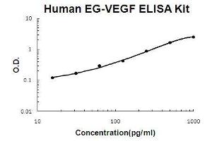 Human EG-VEGF PicoKine ELISA Kit standard curve