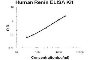Image no. 1 for Renin (REN) ELISA Kit (ABIN1889402)