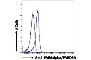 anti-Par-6 Partitioning Defective 6 Homolog alpha (PARD6A) (C-Term) antibody