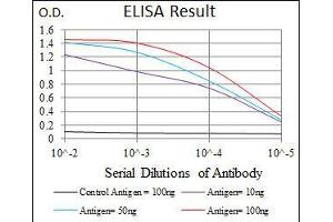 Image no. 1 for anti-Alkaline Phosphatase, Liver/bone/kidney (ALPL) antibody (ABIN969500)