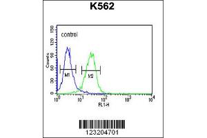 Flow Cytometry (FACS) image for anti-Claudin 15 (CLDN15) antibody (ABIN2158254)