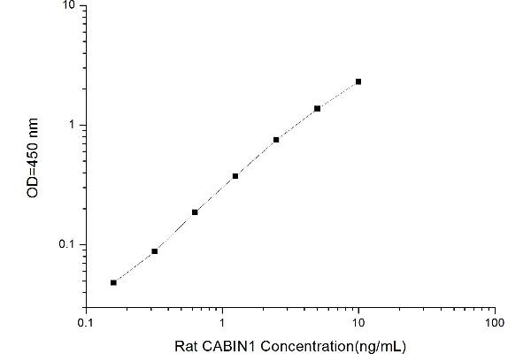 Calcineurin Binding Protein 1 (CABIN1) ELISA Kit