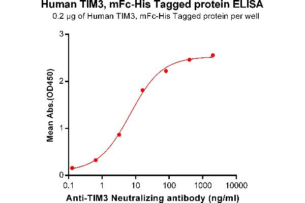 Hepatitis A Virus Cellular Receptor 2 (TIM 3) protein (mFc-His Tag)