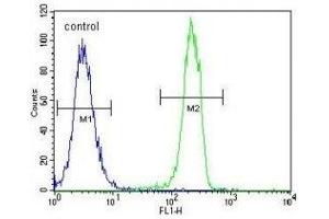 CT45A1 antibody flow cytometric analysis of K562 cells (green) compared to a negative control cell (blue).