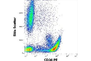 Flow cytometry surface staining pattern of human peripheral whole blood stained using anti-human CD36 (CB38) PE antibody (10 μL reagent / 100 μL of peripheral whole blood).
