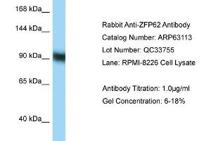 Image no. 1 for anti-Zinc Finger Protein 62 (ZFP62) (C-Term) antibody (ABIN2789378)